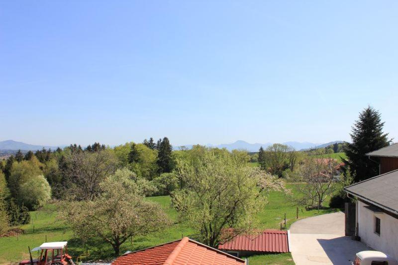 Apartament Esterer